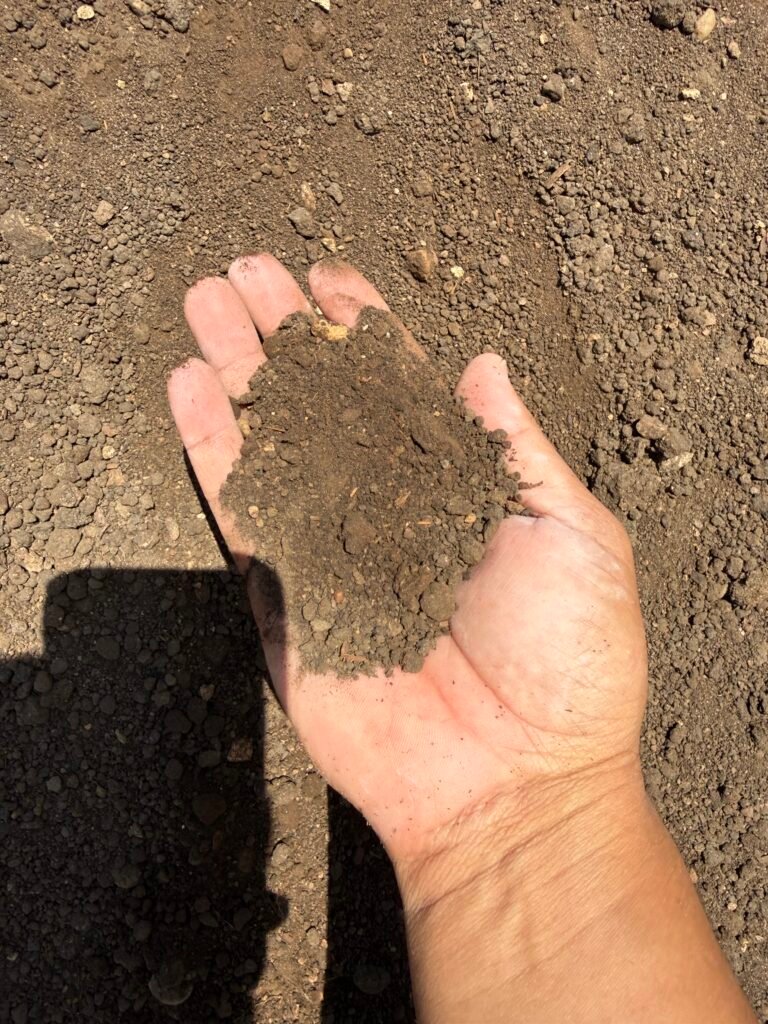 Compost