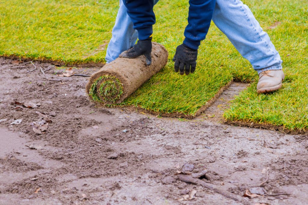 Sod Delivery