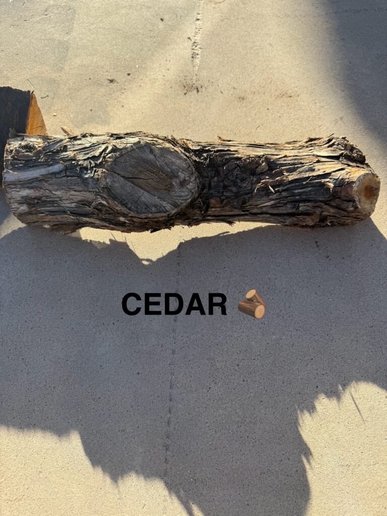 Cedar