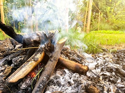 Firewood & Smoking Woods
