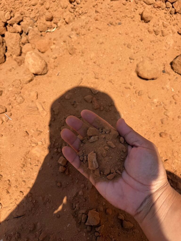Top Soil